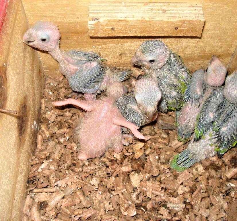 Foto 4